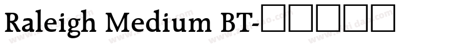 Raleigh Medium BT字体转换